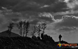 守望為話題的作文開頭