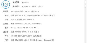 玩游戲的經(jīng)過(guò)開(kāi)頭和結(jié)尾作文