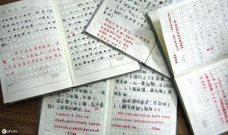 你在生活作文開頭結(jié)尾