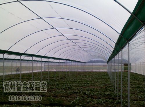 蔬菜大棚的建設(shè)技術(shù)(蔬菜大棚實習(xí)目的)