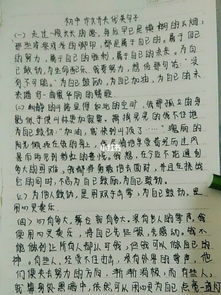 初中作文開(kāi)頭優(yōu)美句子50字