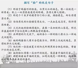 父愛(ài)優(yōu)美開(kāi)頭結(jié)尾摘抄作文