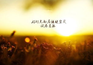 關于工作的勵志語錄(關于工作的勵志語錄)
