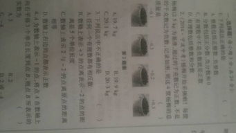 家鄉(xiāng)的秋天這個(gè)作文的開(kāi)頭