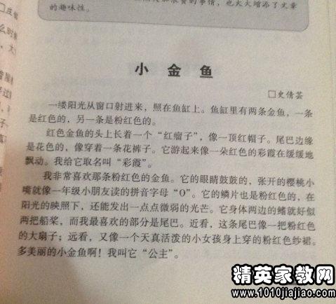 捉蟲趣事作文開頭