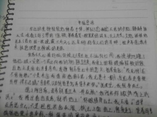 描寫真實情感的作文怎么寫,關(guān)于情感的開頭和結(jié)尾作文怎么寫,情感的作文怎么寫