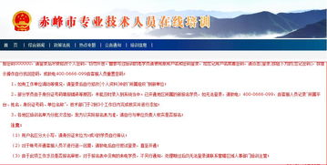 專業(yè)技術(shù)人員考核總結(jié)(專業(yè)技術(shù)人員年度考核個(gè)人總結(jié))