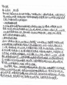 關于高中軍訓作文開頭結尾