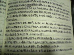 陽(yáng)光下的一朵花作文800字作文開(kāi)頭