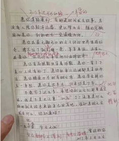 走上領(lǐng)獎(jiǎng)臺(tái)那一刻作文開(kāi)頭