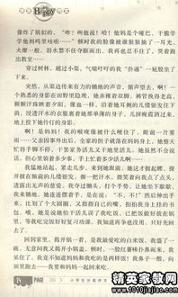 優(yōu)秀精彩的運(yùn)動(dòng)員作文開頭