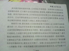 寫人記事開頭100字的作文四級