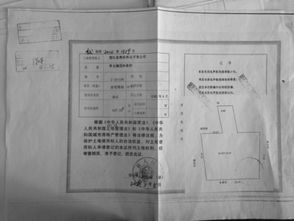 關(guān)于辦理土地證的申請(qǐng)報(bào)告(土地證辦理費(fèi)用)