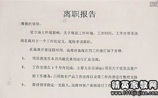 財(cái)務(wù)人員離職審查報(bào)告(財(cái)務(wù)人員離職報(bào)告)