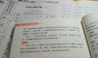 關(guān)于描寫家用電器作文(關(guān)于描寫家用電器的說明文)