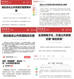 政務(wù)公開政務(wù)服務(wù)工作調(diào)研報(bào)告(人事政務(wù)公開調(diào)研報(bào)告)