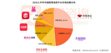跨境電商實習(xí)總結(jié)(關(guān)于跨境電商的實習(xí)總結(jié))