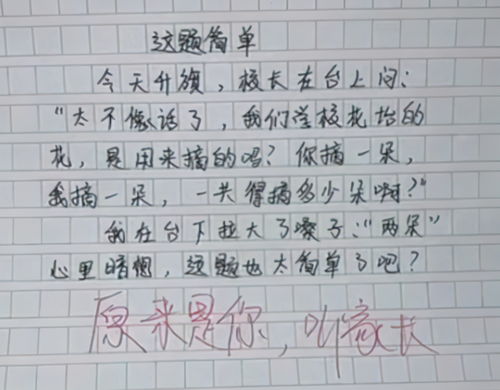 結(jié)解開(kāi)了作文開(kāi)頭