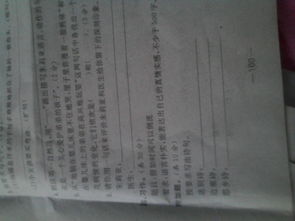 關(guān)于如果時間可以倒流的作文開頭