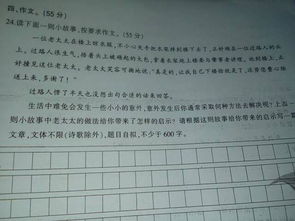 我學(xué)會(huì)了________作文開(kāi)頭,我學(xué)會(huì)了騎自行車(chē)作文開(kāi)頭,我學(xué)會(huì)了包餃子作文開(kāi)頭