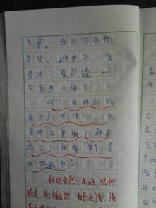 四級(jí)第六單元作文好開(kāi)頭結(jié)尾