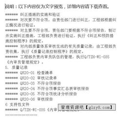 內部質量審核總論(內部質量審核總論)