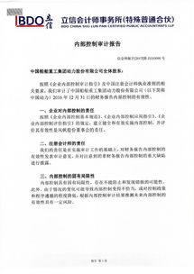 內(nèi)審審計報告范文(簡易內(nèi)審審計報告范文)