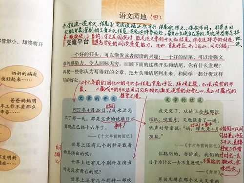 寫我的同學(xué)的作文開(kāi)頭和結(jié)尾