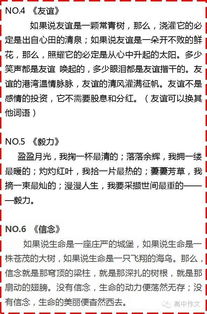 照片里的故事作文開頭結尾,照片里的故事作文開頭唯美,照片里的故事作文精彩結尾