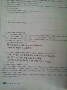 怎么寫好啟示作文的開頭