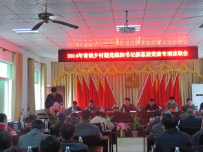 村支部委員述職報(bào)告(關(guān)于村支部委員的述職報(bào)告)