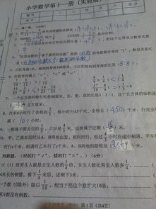 以付出就是一種幸福為題的作文開頭