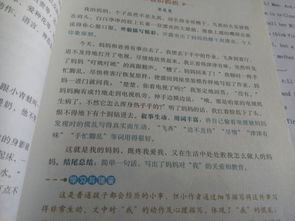 我的媽媽作文環(huán)境描寫式開(kāi)頭和結(jié)尾