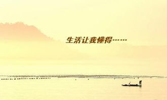 生活使我懂得了寬容700字作文開頭