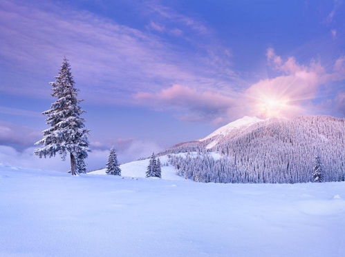 我愛這美麗的雪景作文開頭