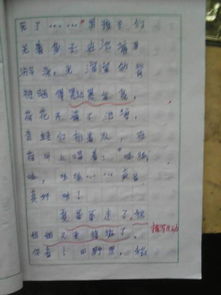 第六單元語文下冊作文開頭