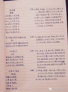 那一次我真后悔作文優(yōu)美開(kāi)頭和結(jié)尾