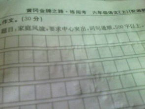 家庭風(fēng)波級作文開頭