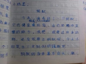 變形記作文六級(jí)螞蟻開(kāi)頭
