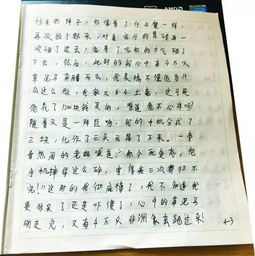 五級(jí)愛(ài)就在我身邊作文600字作文開(kāi)頭