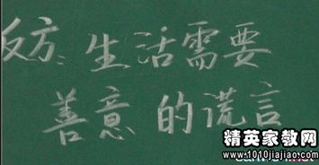 別人對(duì)你善意的謊言的作文開頭結(jié)尾