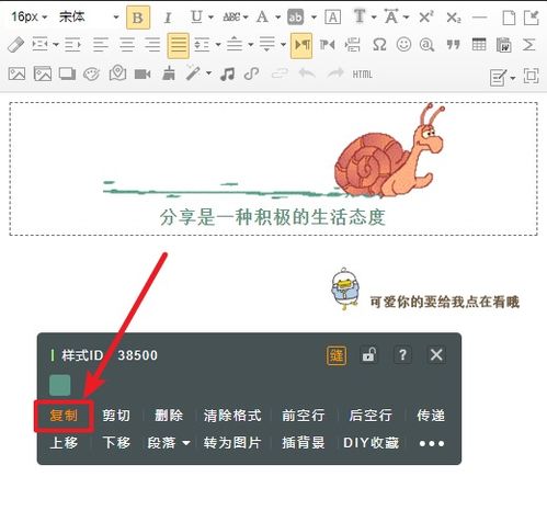最關心你的人是你自己的作文開頭結(jié)尾