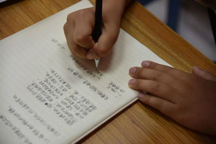 抒情式寫景作文開頭與結(jié)尾