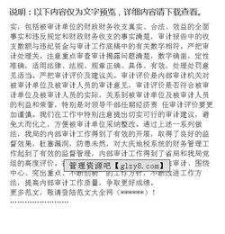 TS審核小結范文(財務審核工作小結范文)