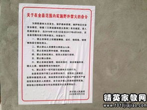 鄉(xiāng)公益性崗位的自查報(bào)告范文(鄉(xiāng)公益性崗位的自查報(bào)告)