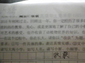 那次經(jīng)歷那次收獲作文開頭