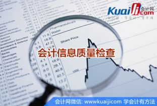 會計(jì)信息質(zhì)量管理的自查報(bào)告范文(會計(jì)信息質(zhì)量的提高)