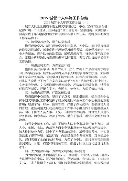 城管年終個(gè)人總結(jié)()