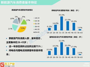 新能源市場調研報告(市場的調研報告)