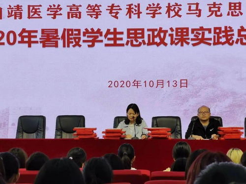 馬克思實踐報告()